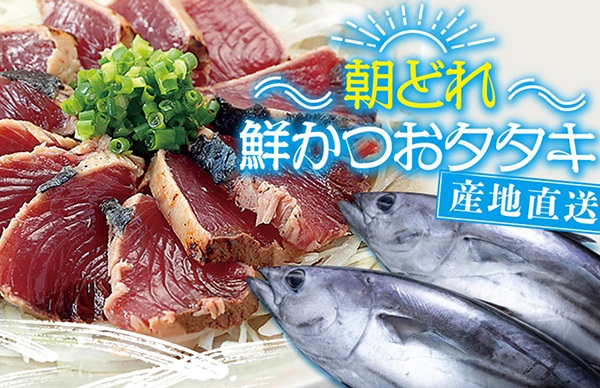 朝どれ鮮かつおタタキ