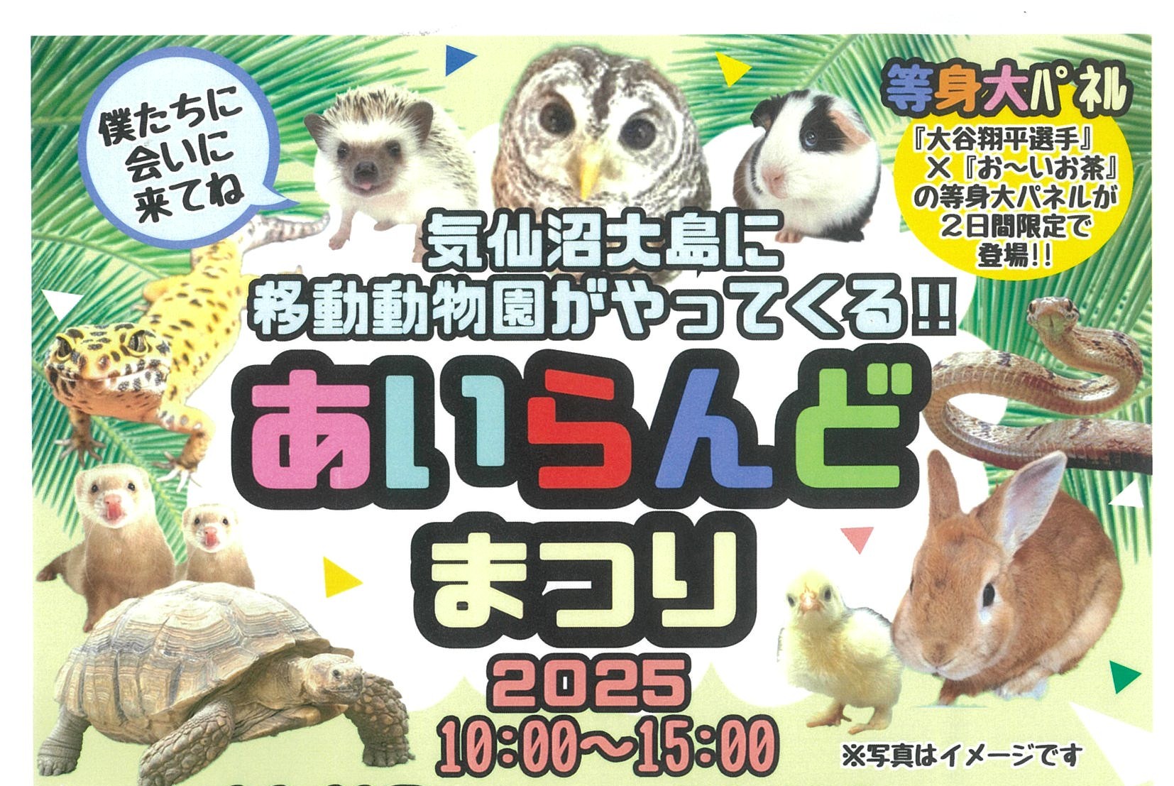 あいらんどまつり2025 | 【公式】気仙沼の観光情報サイト|気仙沼さ来て
