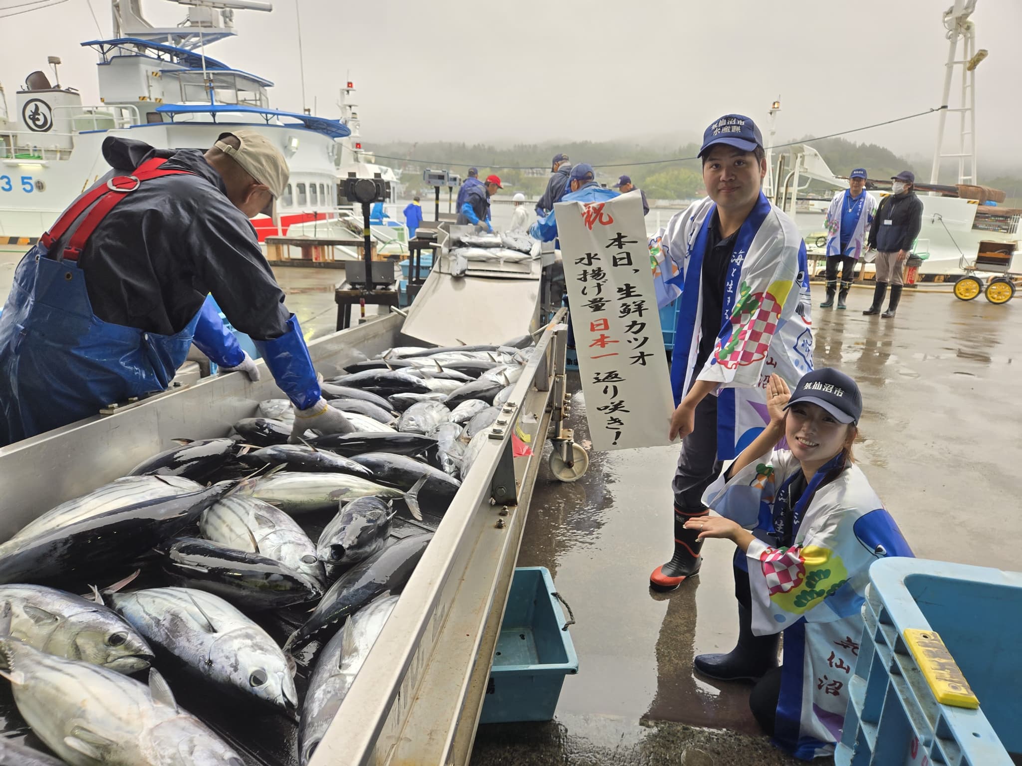 2026年カツオ水揚げ日本一返り咲き