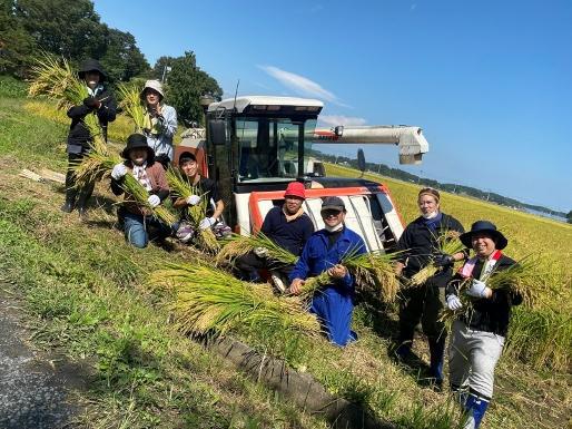 リアスの煌めきの田んぼ