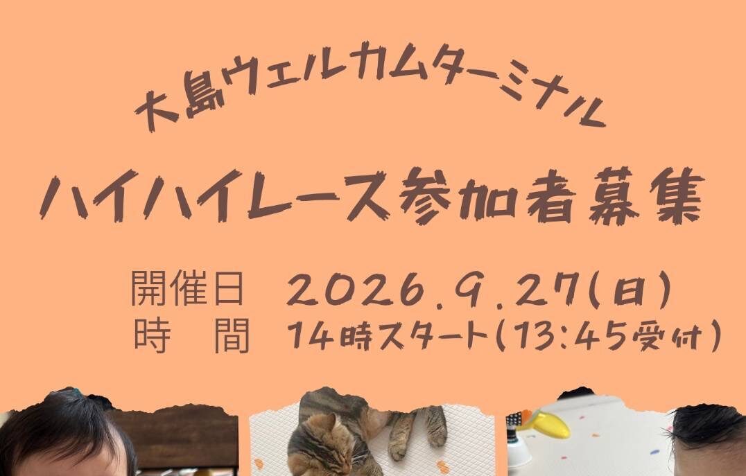 島のハイハイレース | 【公式】気仙沼の観光情報サイト|気仙沼さ来て