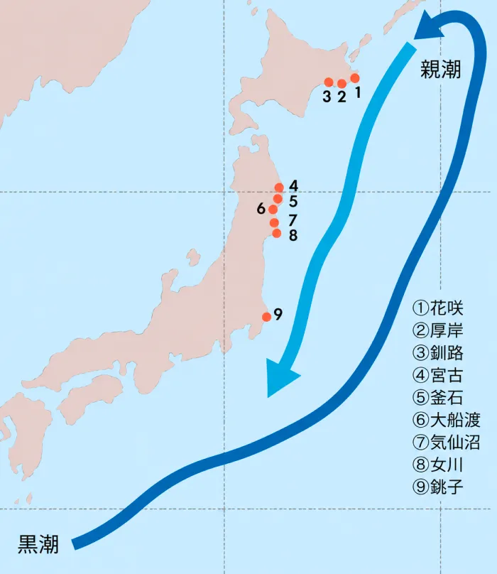サンマの回遊ルート